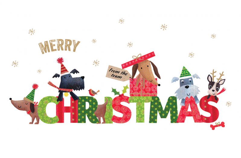 Business & Corporate Christmas Cards 2025 Charity Greeting Cards